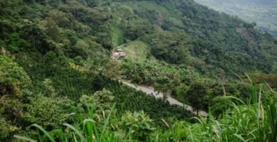 Vista aerea de montanas verdes en zona cafetera