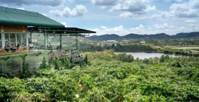 Cafeteria con vista sobre laderas sembradas de cafe