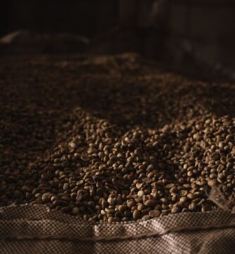 Granos de cafe verde sin tostar sobre fondo oscuro